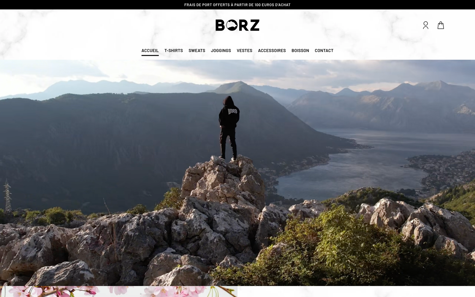 Mockup du site Borz boisson énergisante