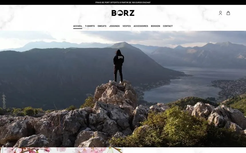 Projet Borz
